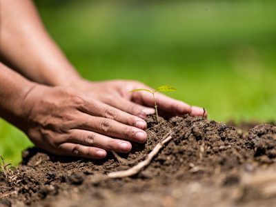 Solo - Fotos: Shutterstock