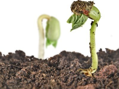 Broto - Fotos: Shutterstock