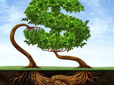 Créditos Shutterstock