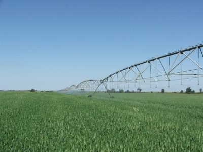 Agricultura - Crédito: Luize Hess