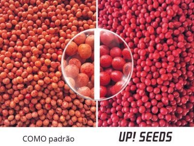 Como potencializar a fixação biológica de nitrogênio na soja?