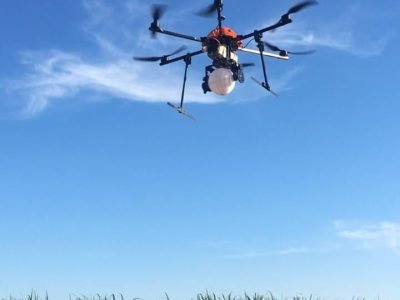 Drone - Crédito: Koppert