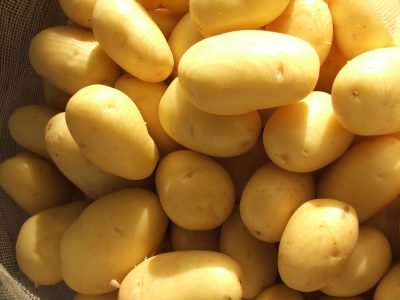 Batata - Crédito: Ana Maria Diniz