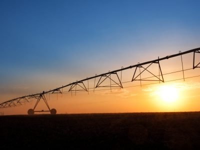 Dendrometria  - Crédito: Shutterstock