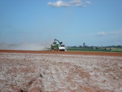 Aplicação de calagem - Crédito: Nutrion