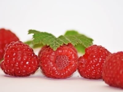 Framboesas vermelhas frescas