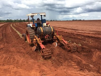 Preparação do solo - Crédito: Daniel Medeiros