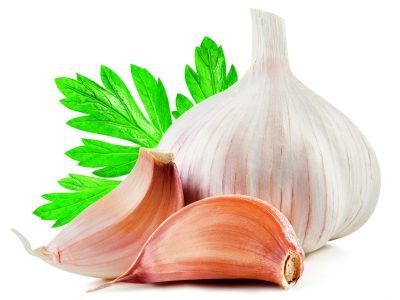 Alho - Crédito: shutterstock