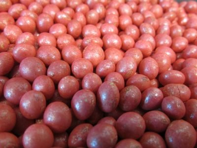 Semente de soja _ Fotos: Saulo Fantini