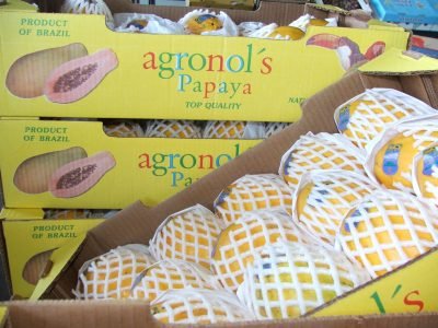 Mamão em embalagens de papelão - Crédito: Ana Maria Diniz