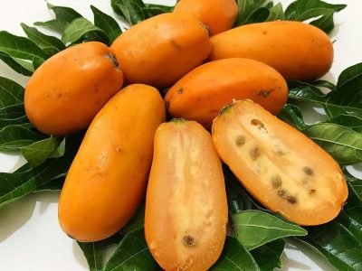 Jaracatiá - Crédito: Internet