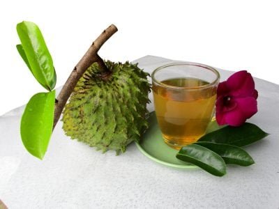 Graviola - Crédito: Shutterstock