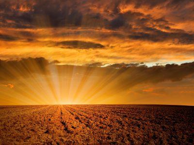 Créditos: Shutterstock