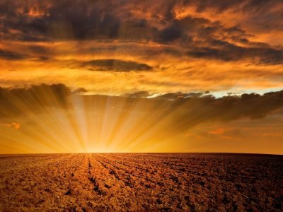 Créditos: Shutterstock