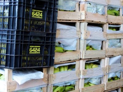 Embalagens - Crédito: Ceagesp