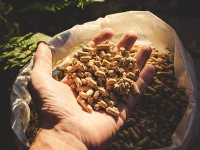 Crédito: Shutterstock