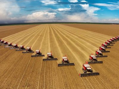 Agronegócio_ Crédito: Shutterstock