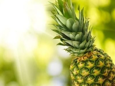 Abacaxi - a fruta que já nasce reinando