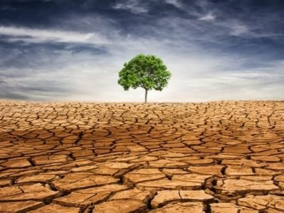 Crédito Shutterstock