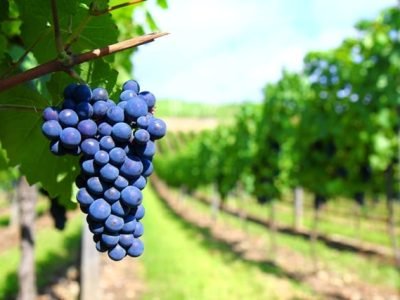 Foto-01-Abrir-matéria-Crédito-SXC