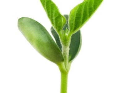 Foto-01-Abrir-matéria-Crédito-Shutterstock