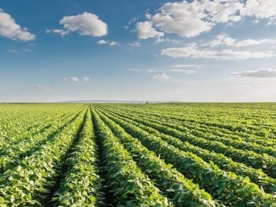 Abrir matéria - Crédito Shutterstock