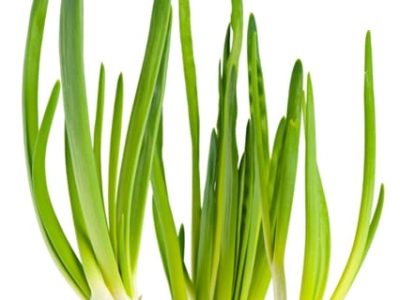 CréditoShutterstock