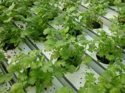 Foto-01-Abrir-matéria-Créditos-Luiz-Jorge