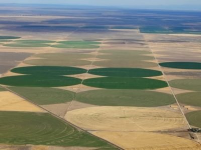 Créditos Shutterstock