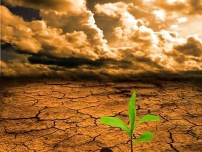 Crédito Shutterstock