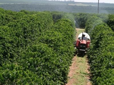 Foto-01-Adubação-foliar-no-cafeeiro-corrige-deficiências-Crédito-Daniel-Vieira