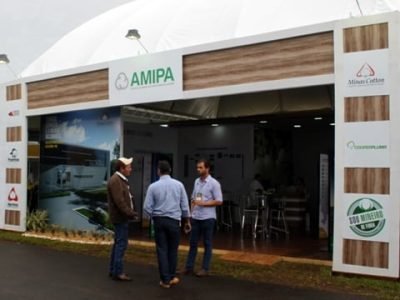 Foto-01-Amipa-Créditos-Divulgação