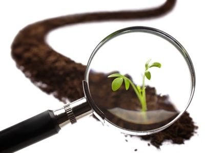 Amostragem localizada de solo garante precisão- Crédito Shutterstock