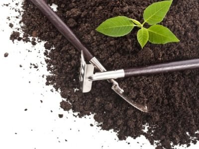 Foto-01-Análise-de-solo-realizando-uma-boa-amostragem-Crédito-Shutterstock