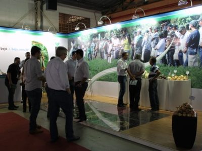 Bejo - Créditos Luize Hess