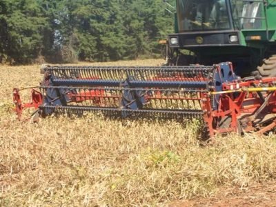 Colheita mecanizada do feijão exige planejamento - Crédito Indústrias Colombo