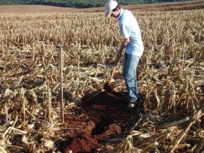 Como retirar amostra do solo -  Crédito Alexandre Puglisi