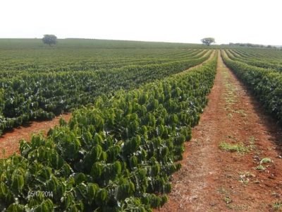 Crédito Acácio Dianin