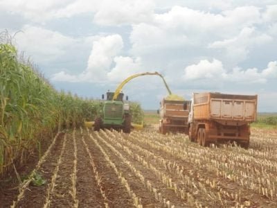 Crédito Ademir Torchetti