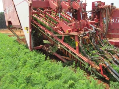 Crédito Agnaldo Carvalho