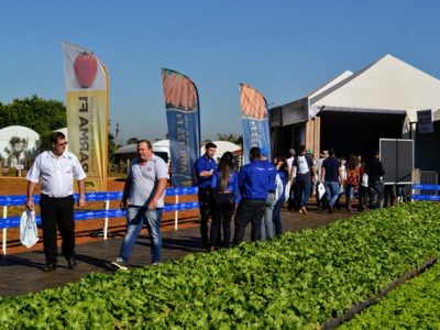 Crédito Agristar