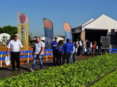 Crédito Agristar
