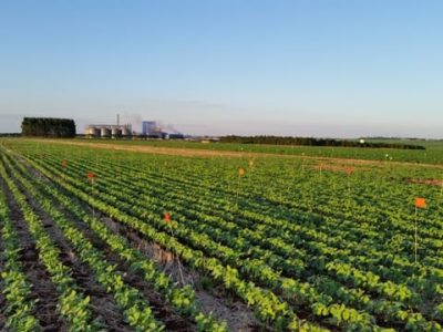 Crédito Alfredo Junior Paiola Albrecht