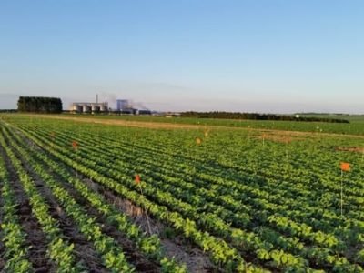 Crédito Alfredo Junior Paiola Albrecht