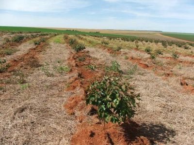 Foto-01-Crédito-Ana-Maria-Diniz