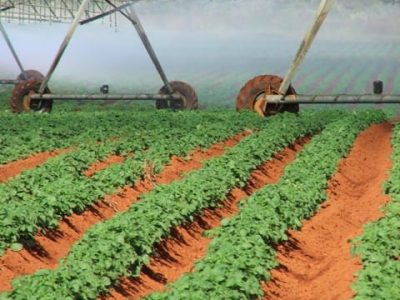 Crédito Ana Maria Diniz