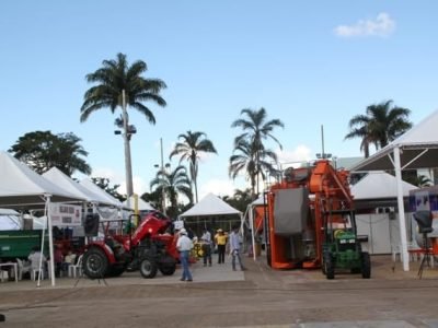 Crédito Ana Maria Diniz