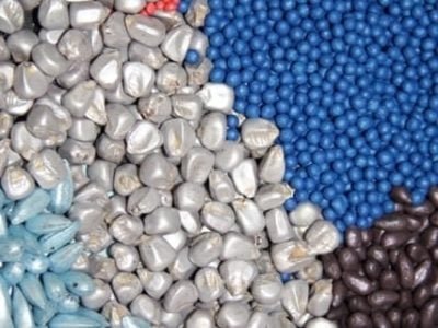 Sementes tratadas- Crédito Ana Maria Diniz