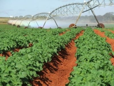 Foto-01-Crédito-Ana-Maria-Diniz