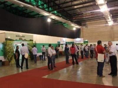 Crédito Ana Maria Diniz